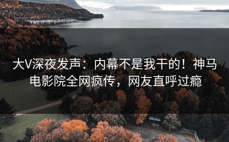 大V深夜发声：内幕不是我干的！神马电影院全网疯传，网友直呼过瘾
