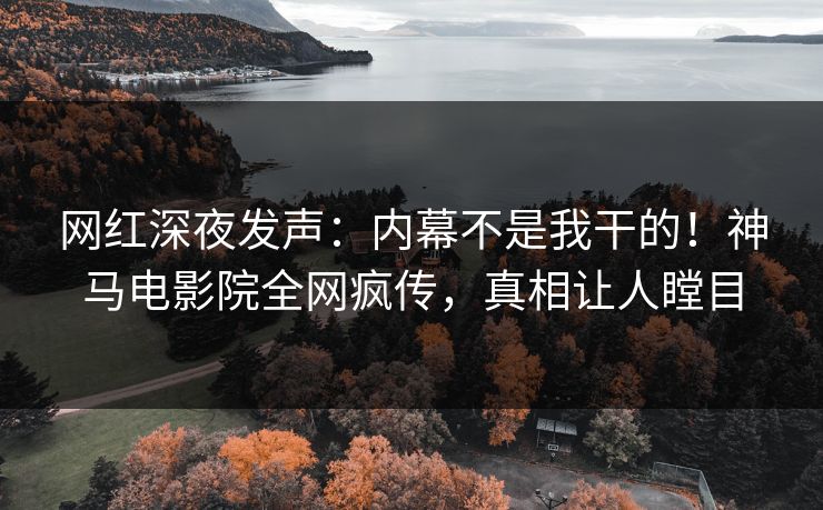 网红深夜发声：内幕不是我干的！神马电影院全网疯传，真相让人瞠目
