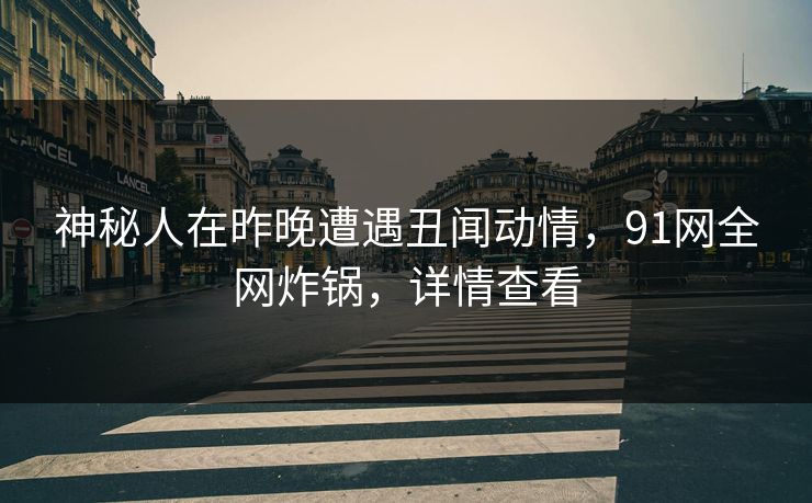 神秘人在昨晚遭遇丑闻动情，91网全网炸锅，详情查看