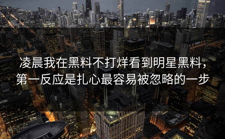 凌晨我在黑料不打烊看到明星黑料，第一反应是扎心最容易被忽略的一步